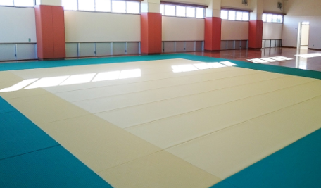 軽量発泡体入柔道畳『フワット』