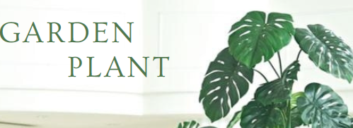 GARDEN PLANT
