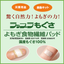 【災害用救急キット】よもぎ食物繊維パッド『ラップラもぐさ』