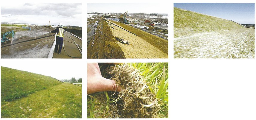 法面緑化の施工事例