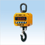 Crane Scale 'CASTON4 5THC' [Rental]