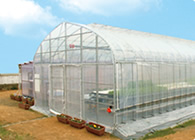 栽培ハウス『オンディーネVH』