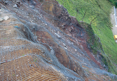 緑化促進型落石防止工『マイティーネット』