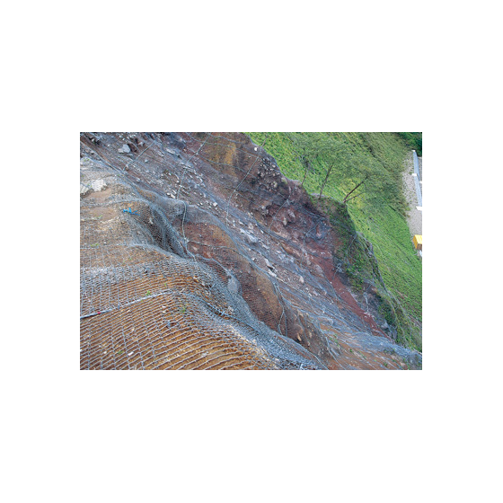 image_01.png