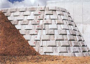 ブロック『LIBERTYROCK』