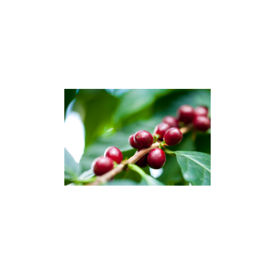 image_5831.png