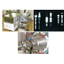 Ion Beam Utilization Services