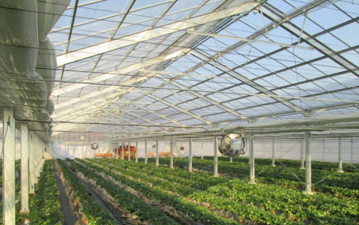 農業用ハウス設計・施工サービス