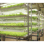 植物生産システム『閉鎖型植物工場』