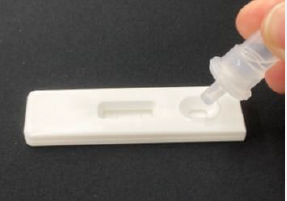 やさい・くだもの検査キット