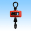 Digital Crane Scale 'Champion HA-03' [Rental]