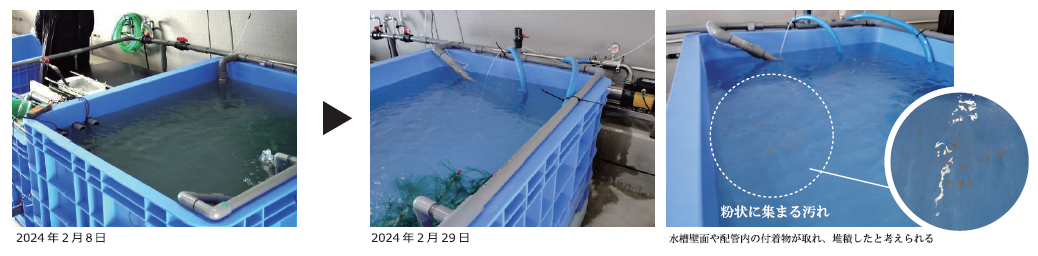 ナノバブル発生装置【養殖、農業、食品工場】