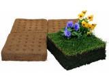 緑化用平板　ガーデンマット
