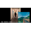 [Case Study] Kyoto Kizugawa Activity Festival VR Video Content Production