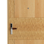 Wooden Fireproof Door for Hotels