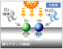 光触媒とは