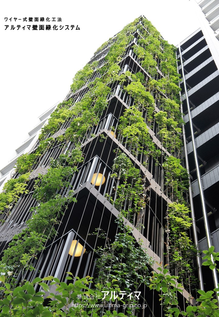 壁面緑化工法(ワイヤー式)　アルティマ壁面緑化システム