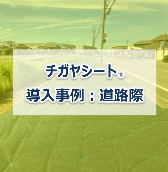 【防草シート施工事例】チガヤシート(R)　道路際