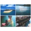 Please consult us for diving construction, diving surveys, and marine operations.