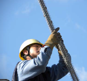 鳥害防止具『ハリセンボーン』 