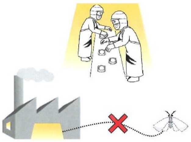 低誘虫LED照明『SP.Feathelight FYLシリーズ』