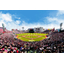 SKIDATA Product Implementation Case - Rakuten Mobile Park Miyagi