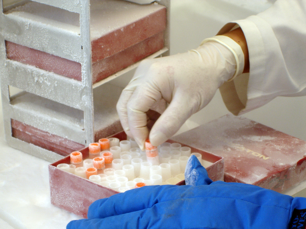 検体保管サービス -超低温クライオメディファーマアーカイブ-