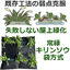 Fail-proof rooftop greening system: Evergreen Kiri-so bag method