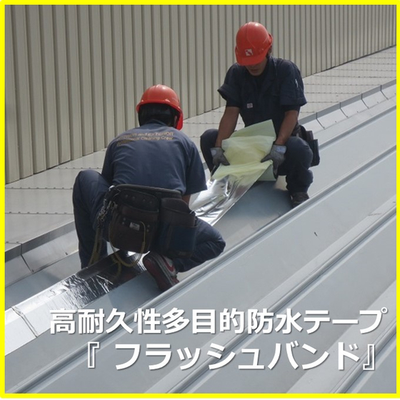 画像制作用.jpg