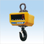 Crane scale 'IWD-5T (2kg/5t)' [Rental]