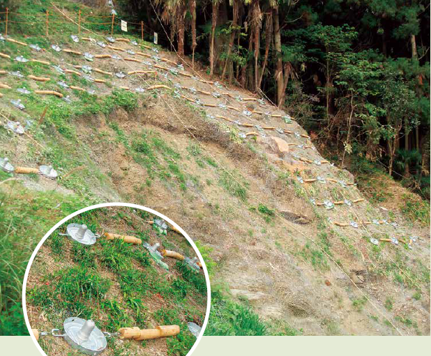 ウッド筋工 表層崩壊防止強化版【※緑化基盤工の最先端技術】