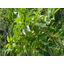 [Products Contributing to the SDGs] Information on Environmental and Charity-Related Products
