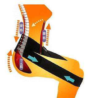 腸腰筋リラックスベルト「ラクナール」