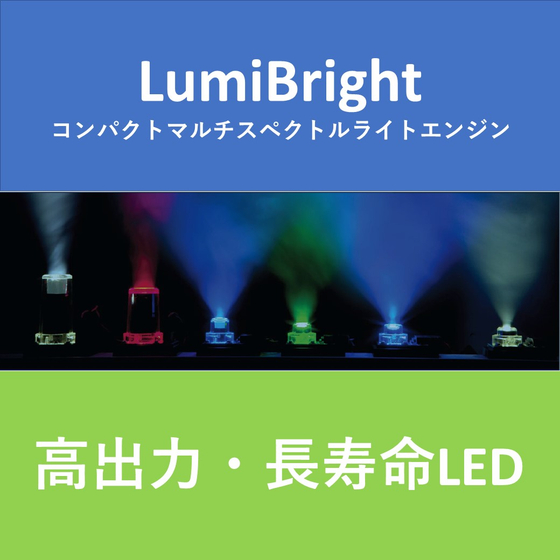 LumiBright.JPG
