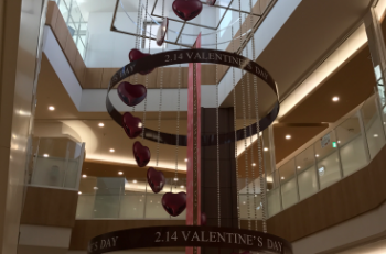 【事績多数】室内装飾でお困りごとはありませんか？