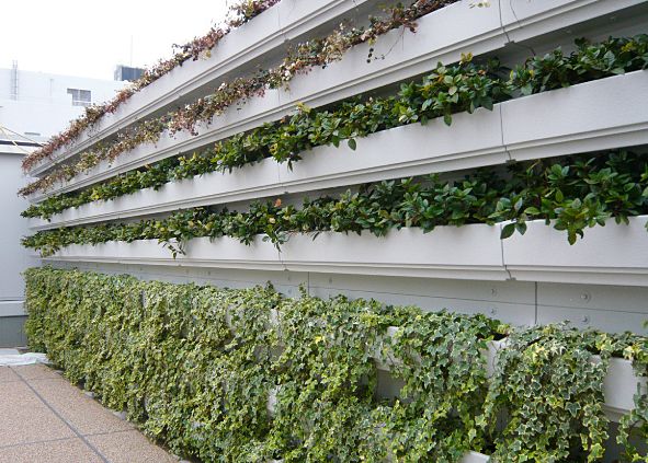 壁面緑化システム施工事例　「下垂（入替）方式」
