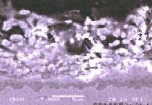 実績技術　SOFC型　燃料電池集電体