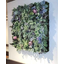 GREEN WALL ARRANGEMENT