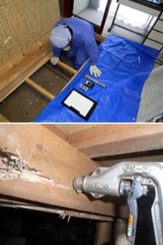 大心産業株式会社の事業紹介