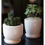 Pot & Saucer "AUSTERE"