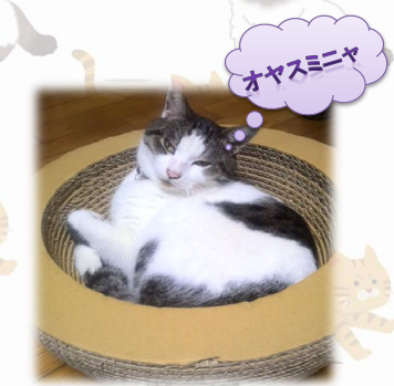 猫のくつろぎスペースや爪とぎに！段ボールハウス「マブキャット」