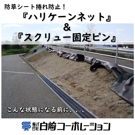 メイン画像.png