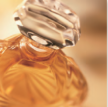 株式会社オーガストプランニングワーク　事業紹介