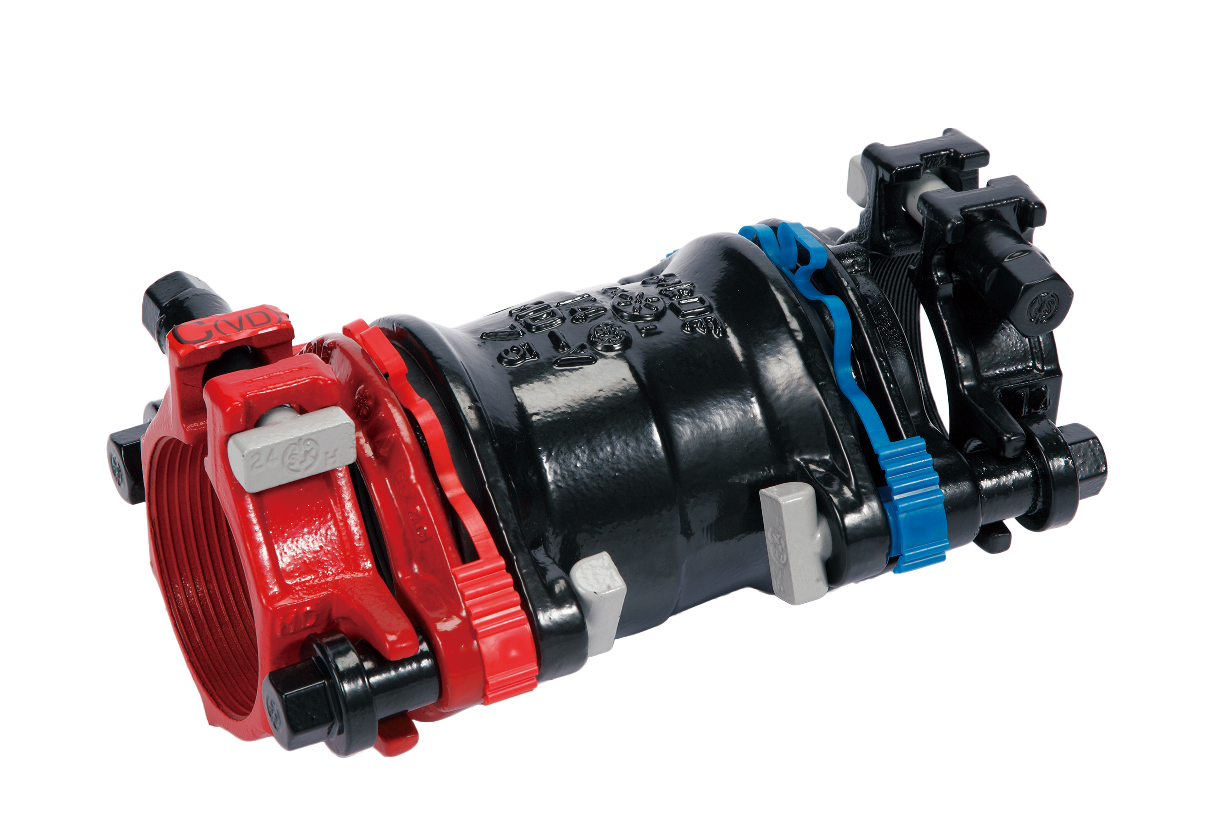 ユタエンシス sp 錦　大株　斑入り　覆輪 認証品・工業製品 | made in JOETSU