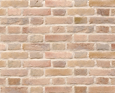 ブリックタイル CAN'BRICK『ネザーランド(NL)』 キャン