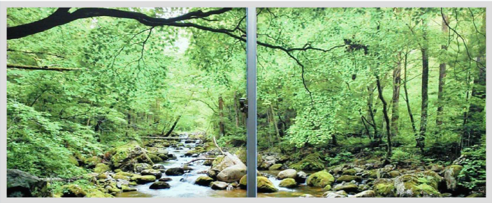 窓ガラスに貼るアート