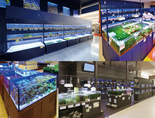 アクアリウムシステム『アクアパレット』