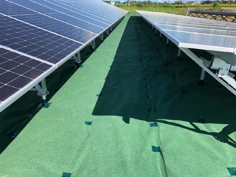 防草シートを活用した雑草対策の新提案