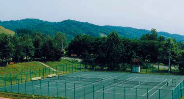 アクリル樹脂系『ダイヤコートAH』