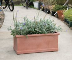 植木鉢『COTTO LITE（コットライト）』